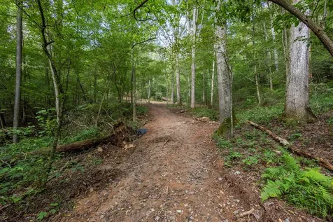 23.59 Ac Chestnut Flats Road Andrews NC 28901