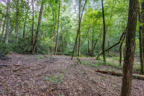 23.59 Ac Chestnut Flats Road Andrews NC 28901