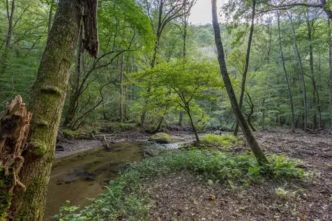 23.59 Ac Chestnut Flats Road Andrews NC 28901