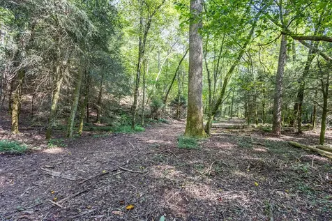 23.59 Ac Chestnut Flats Road Andrews NC 28901