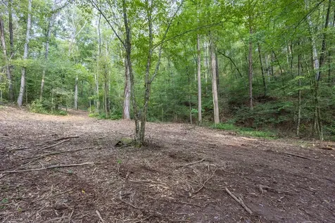 23.59 Ac Chestnut Flats Road Andrews NC 28901