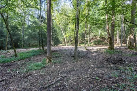 23.59 Ac Chestnut Flats Road Andrews NC 28901
