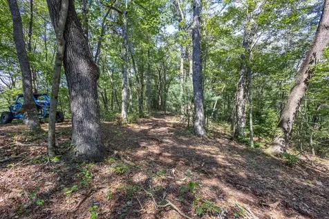 23.59 Ac Chestnut Flats Road Andrews NC 28901
