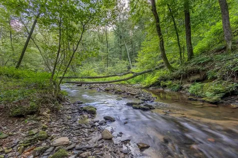 23.59 Ac Chestnut Flats Road Andrews NC 28901