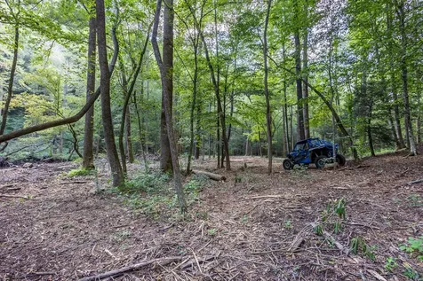 23.59 Ac Chestnut Flats Road Andrews NC 28901