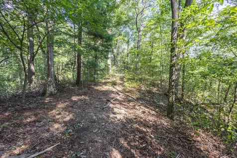 23.59 Ac Chestnut Flats Road Andrews NC 28901