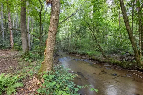 23.59 Ac Chestnut Flats Road Andrews NC 28901