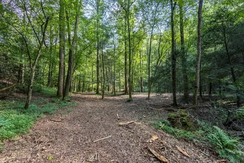 23.59 Ac Chestnut Flats Road Andrews NC 28901
