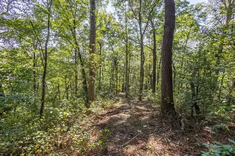 23.59 Ac Chestnut Flats Road Andrews NC 28901