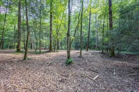 23.59 Ac Chestnut Flats Road Andrews NC 28901