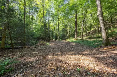 23.59 Ac Chestnut Flats Road Andrews NC 28901