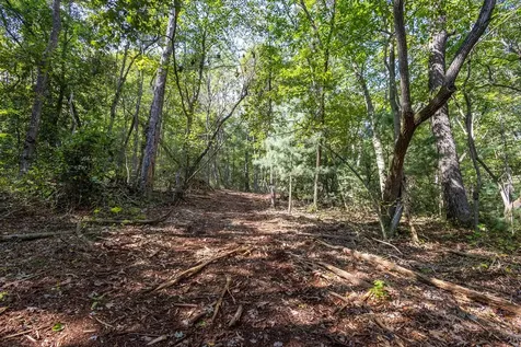 23.59 Ac Chestnut Flats Road Andrews NC 28901