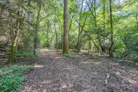 23.59 Ac Chestnut Flats Road Andrews NC 28901