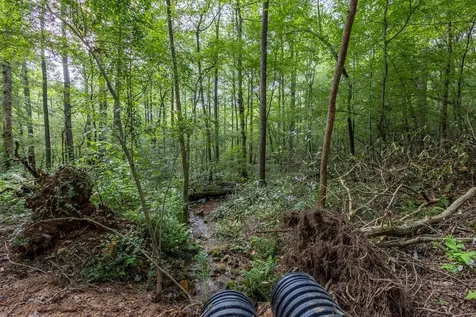 23.59 Ac Chestnut Flats Road Andrews NC 28901