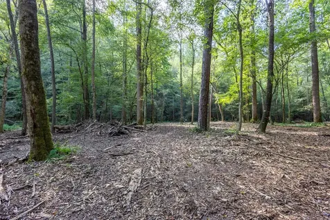 23.59 Ac Chestnut Flats Road Andrews NC 28901