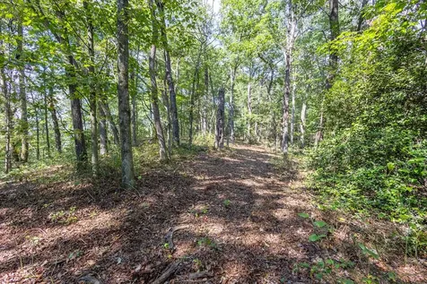 23.59 Ac Chestnut Flats Road Andrews NC 28901