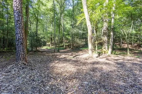 23.59 Ac Chestnut Flats Road Andrews NC 28901