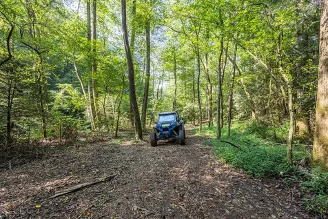 23.59 Ac Chestnut Flats Road Andrews NC 28901