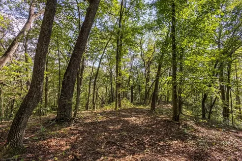 23.59 Ac Chestnut Flats Road Andrews NC 28901