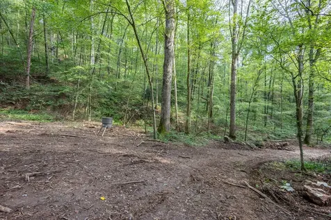 23.59 Ac Chestnut Flats Road Andrews NC 28901