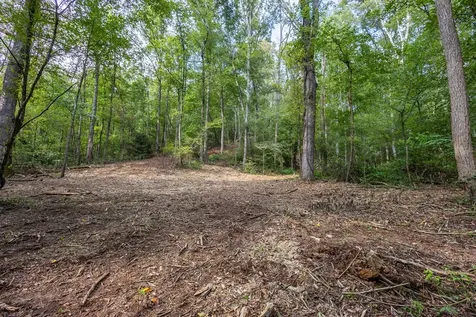 23.59 Ac Chestnut Flats Road Andrews NC 28901
