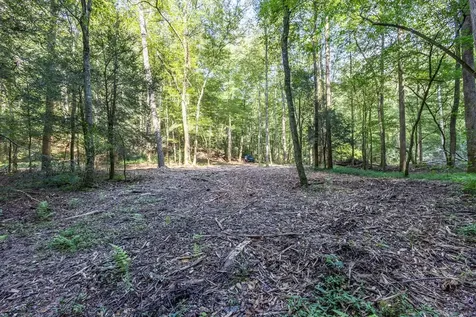 23.59 Ac Chestnut Flats Road Andrews NC 28901