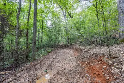 23.59 Ac Chestnut Flats Road Andrews NC 28901