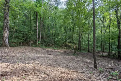 23.59 Ac Chestnut Flats Road Andrews NC 28901