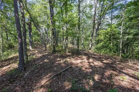 23.59 Ac Chestnut Flats Road Andrews NC 28901
