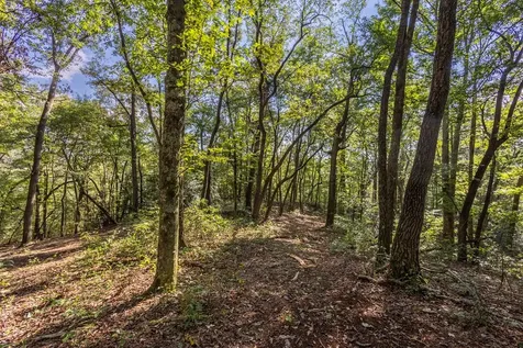 23.59 Ac Chestnut Flats Road Andrews NC 28901