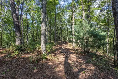 23.59 Ac Chestnut Flats Road Andrews NC 28901
