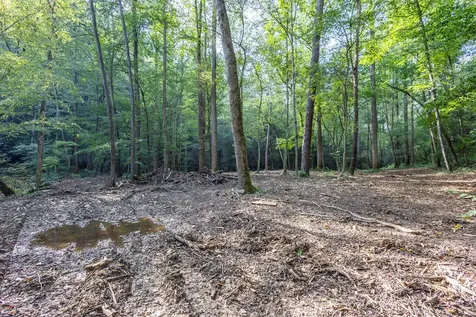 23.59 Ac Chestnut Flats Road Andrews NC 28901