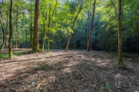 23.59 Ac Chestnut Flats Road Andrews NC 28901