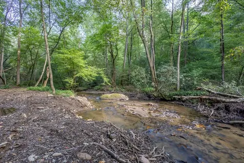 23.59 Ac Chestnut Flats Road Andrews NC 28901