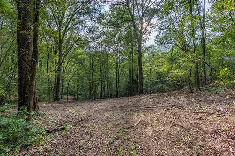 23.59 Ac Chestnut Flats Road Andrews NC 28901