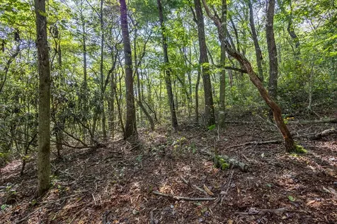 23.59 Ac Chestnut Flats Road Andrews NC 28901