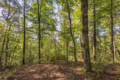 23.59 Ac Chestnut Flats Road Andrews NC 28901