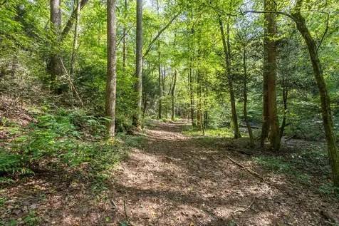 23.59 Ac Chestnut Flats Road Andrews NC 28901