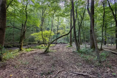23.59 Ac Chestnut Flats Road Andrews NC 28901