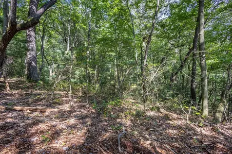 23.59 Ac Chestnut Flats Road Andrews NC 28901