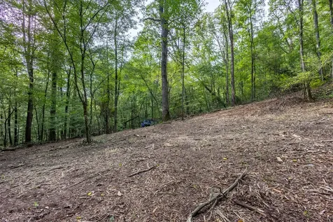 23.59 Ac Chestnut Flats Road Andrews NC 28901