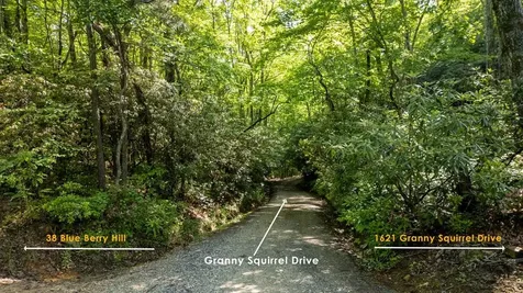 1621 Granny Squirrel Drive Andrews NC 28901