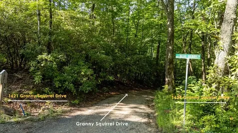 1621 Granny Squirrel Drive Andrews NC 28901