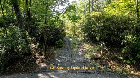 1621 Granny Squirrel Drive Andrews NC 28901