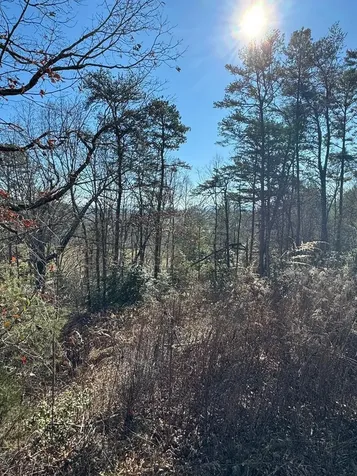000 Mistletoe Ridge Murphy NC 28906