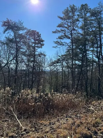 000 Mistletoe Ridge Murphy NC 28906