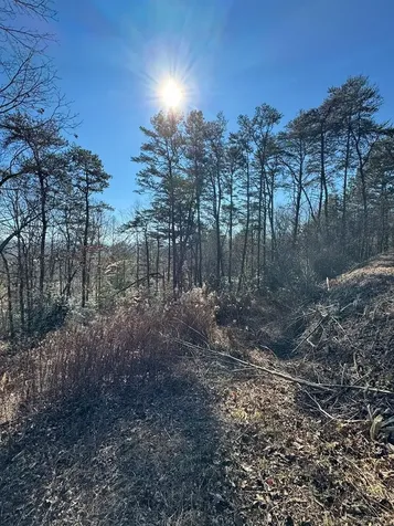 000 Mistletoe Ridge Murphy NC 28906