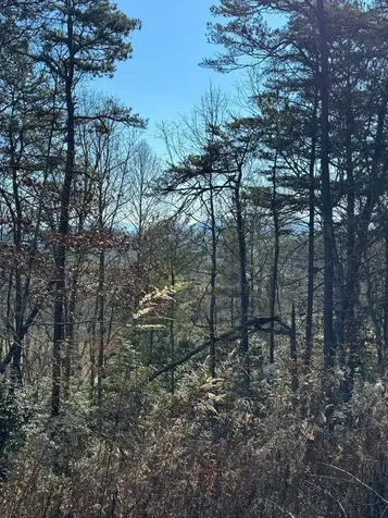 000 Mistletoe Ridge Murphy NC 28906