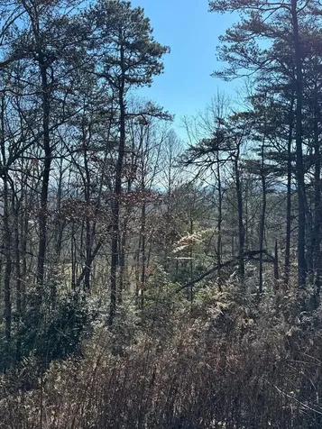 000 Mistletoe Ridge Murphy NC 28906