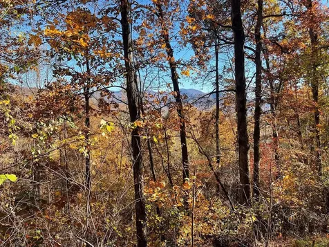36 54c Ash Branch Circle Hayesville NC 28904